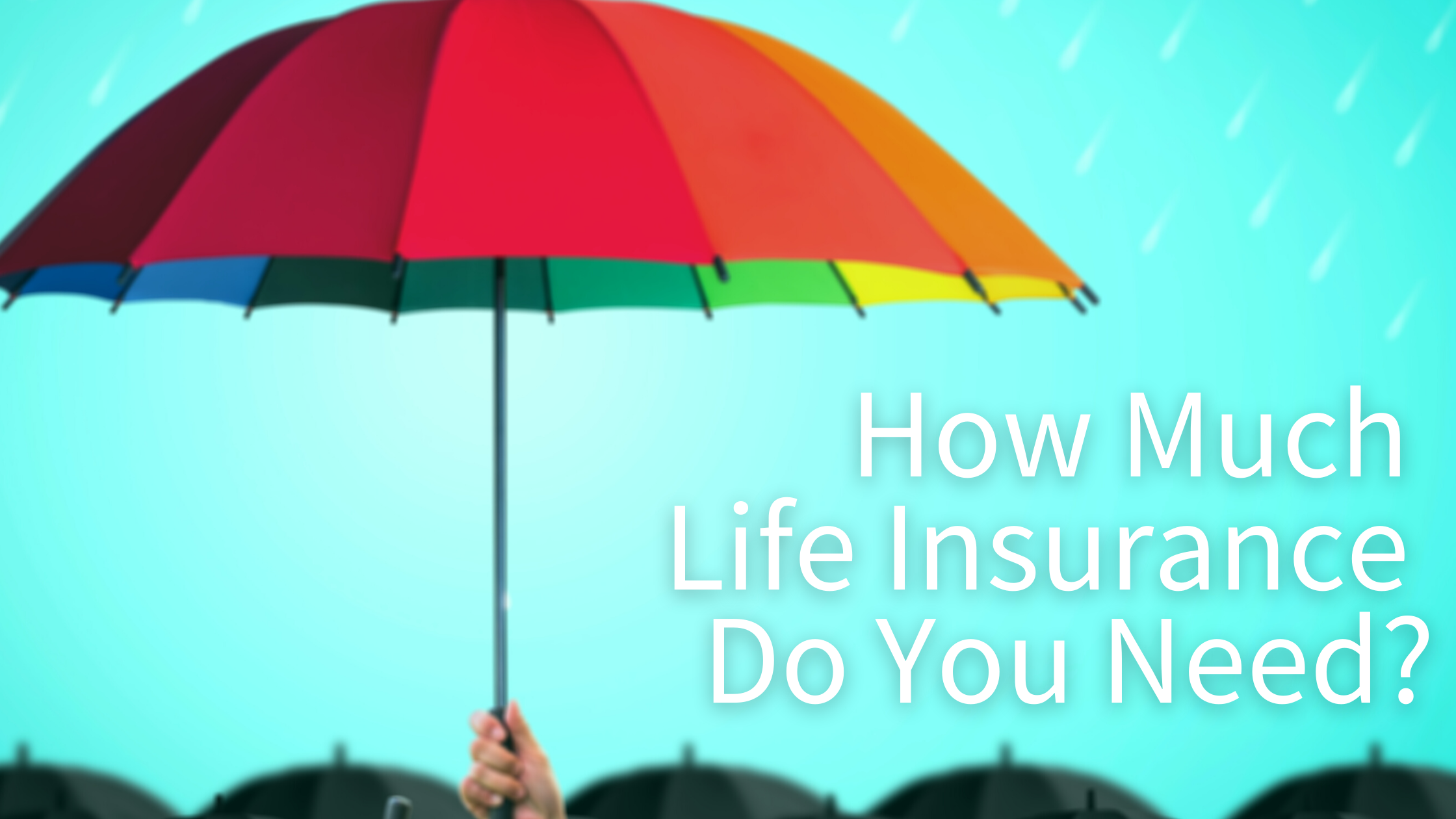 How Much Life Insurance Do You Need? - Wealth Horizon